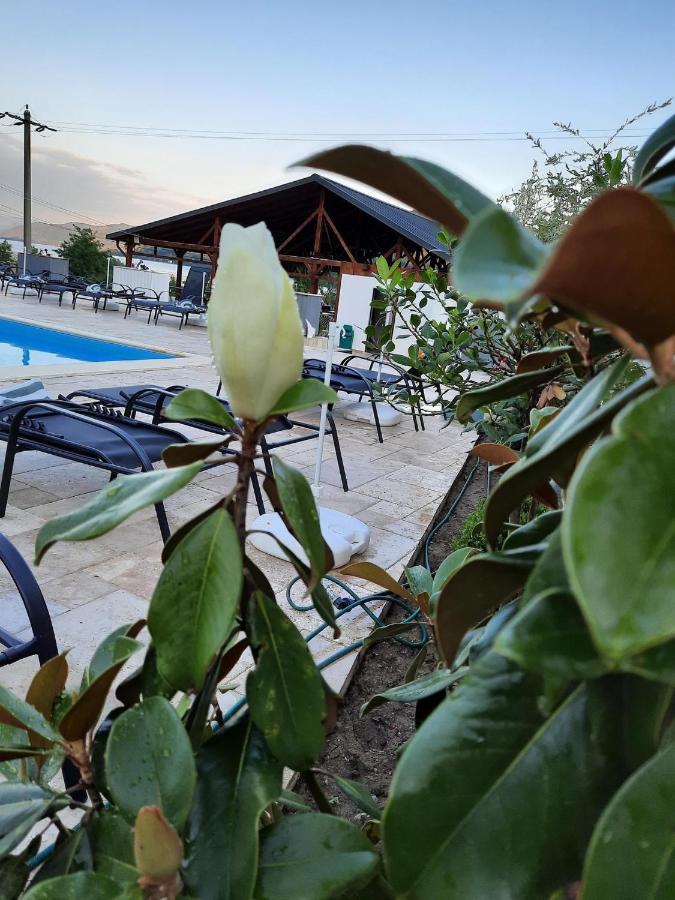 Clisura Dunarii - Pensiunea Casa Creta Liborajdea ภายนอก รูปภาพ